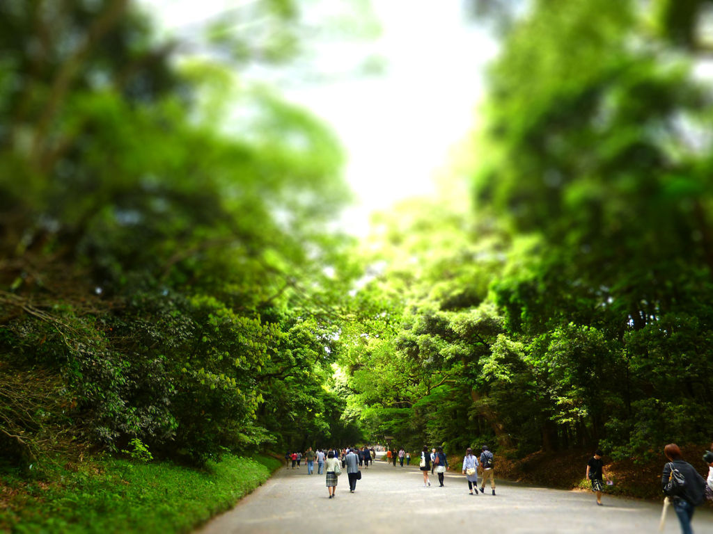 明治神宮