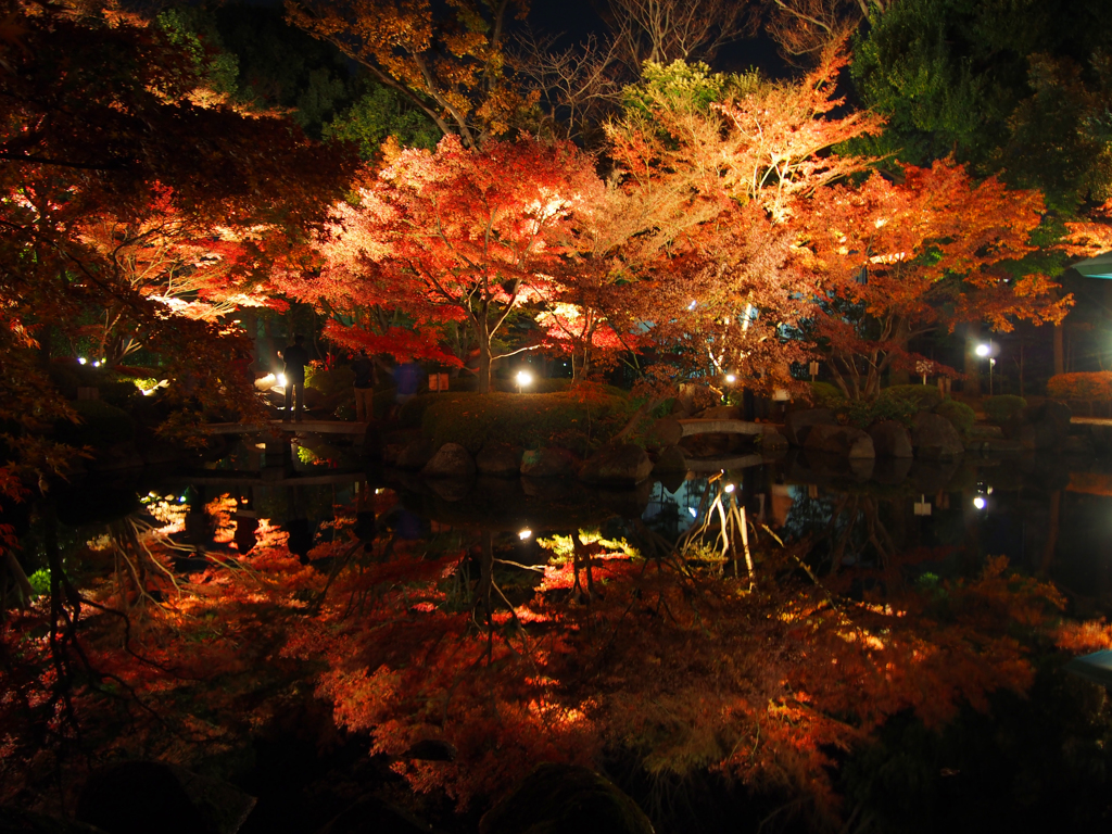 紅葉ライトアップ