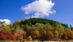 稲武の山の中