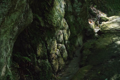 王滝渓谷7