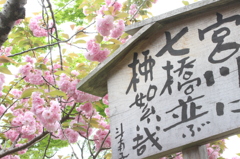なんとなく