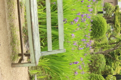 ちょっと前の写真ですが。。。2