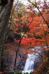 紅葉と滝