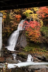 紅葉と滝