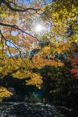 タカドヤ湿地