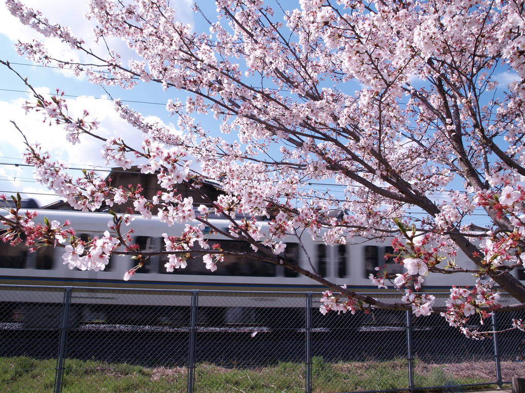 息子、お気に入りの風景