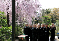 桜とお勤め