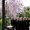 桜とお勤め