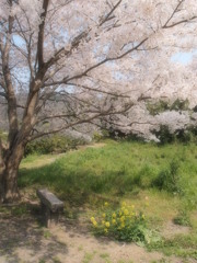 ひと休み