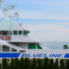 BLUELINE