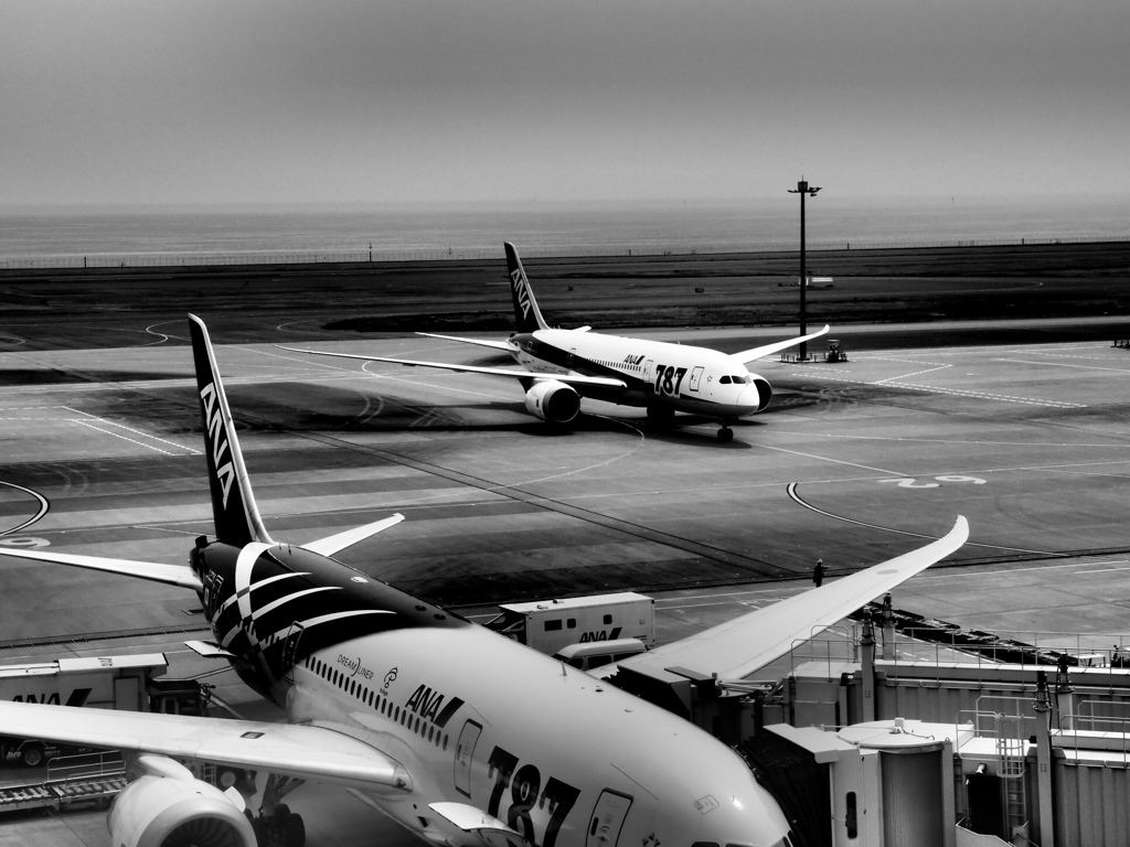 787