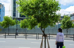 At a corner of Asia #13