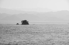 瀬戸内に浮かぶ小島