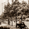 At a corner of Asia #16