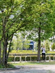 The shade of a tree