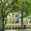 The shade of a tree