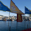 Dragon Boat Carnival