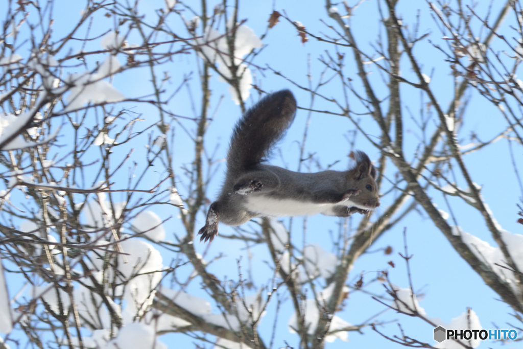 I can fly！