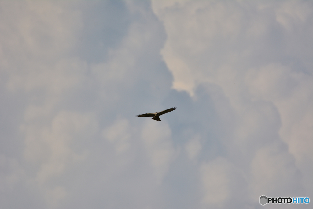 空抜け一考