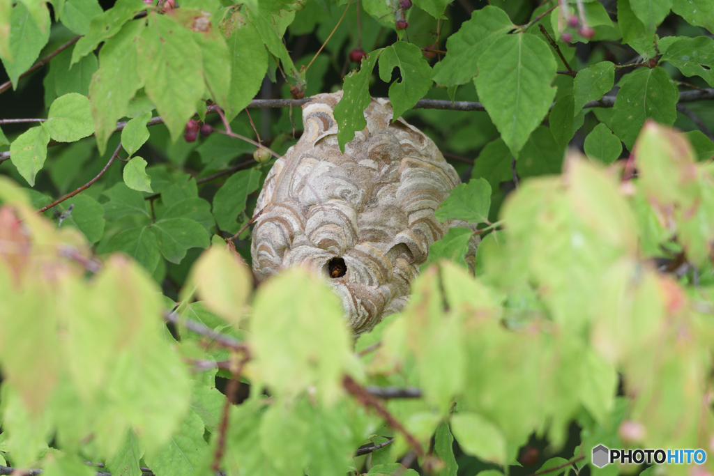 自分危機一髪二発目