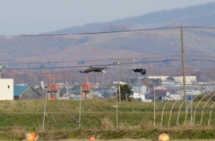 オジロ様