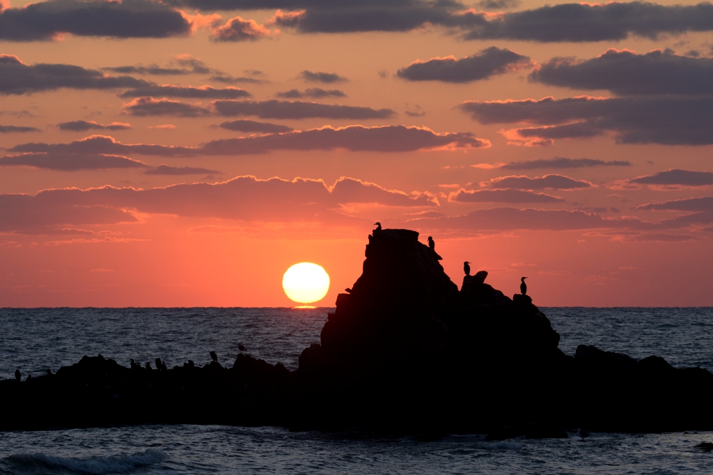 ウミウと夕日