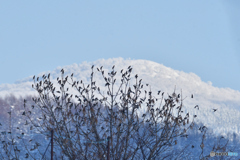 雪山