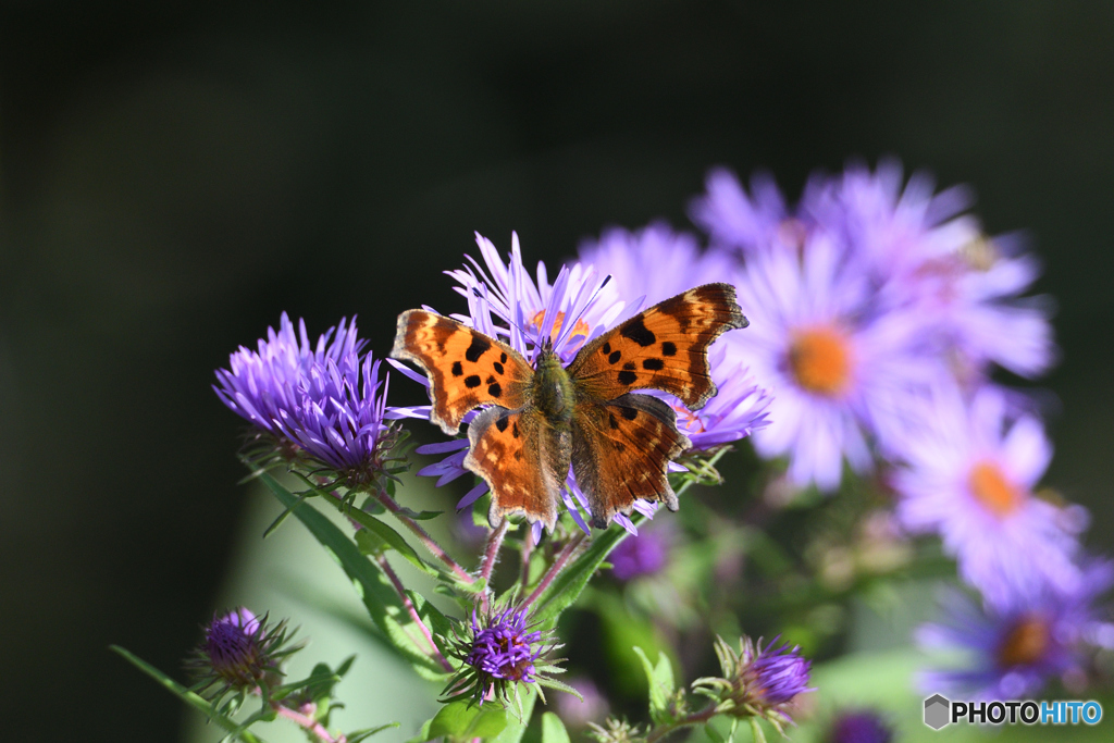 久々に会えてうれシータテハ