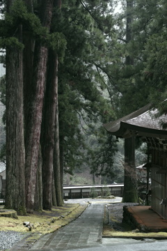 雨の永平寺