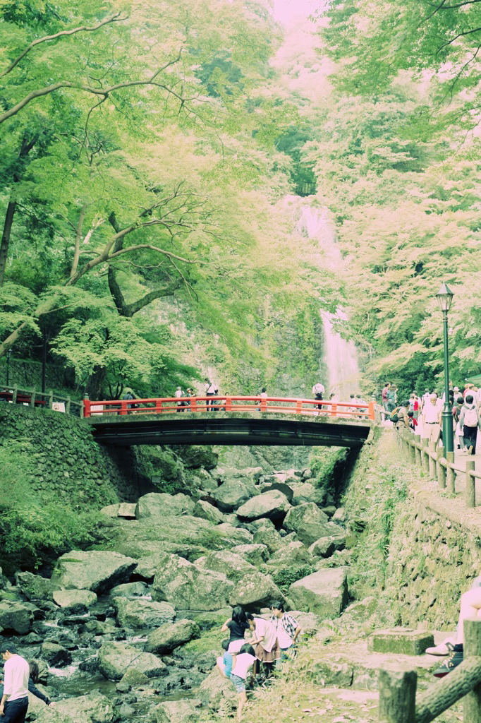 変わらぬ滝