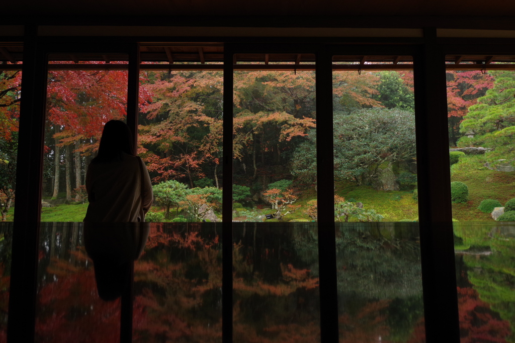 旧竹林院の紅葉