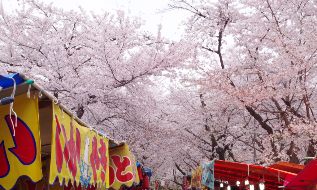 平野神社