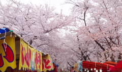平野神社