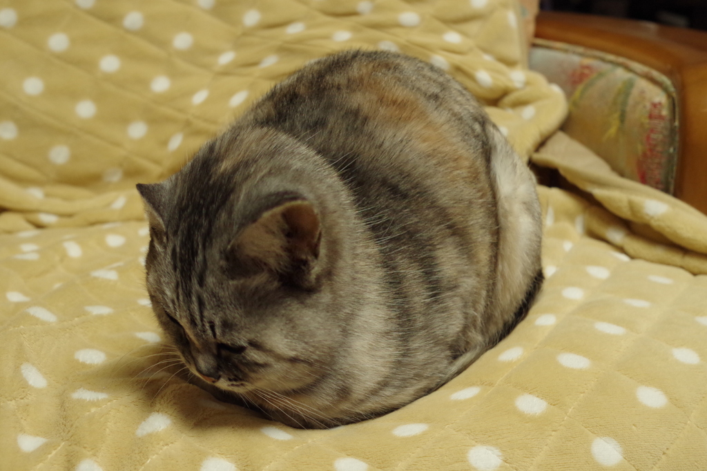 まんまる
