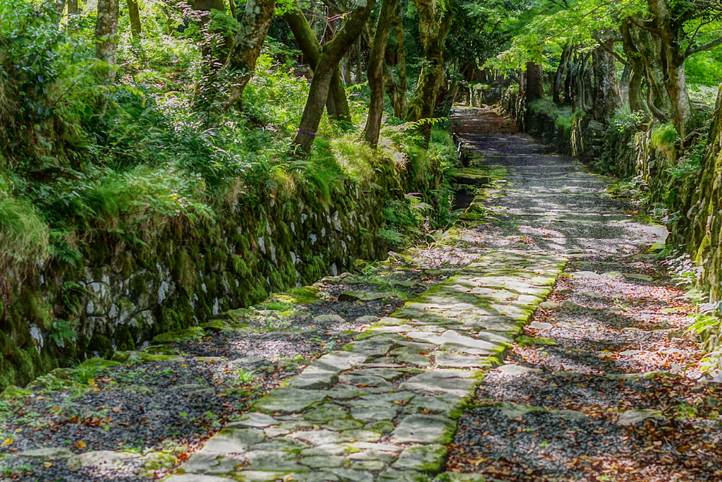 百済寺へ続く古道