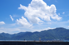 夏だ―