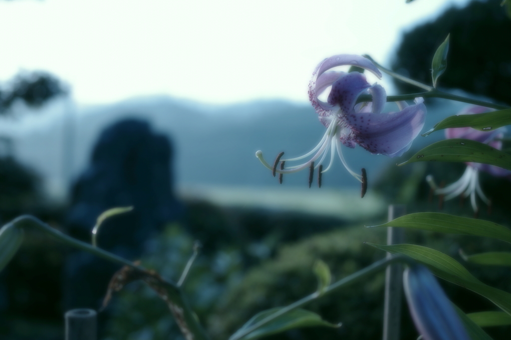 目覚め