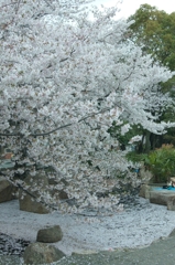 水際・末広がり