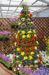 Flower Tree