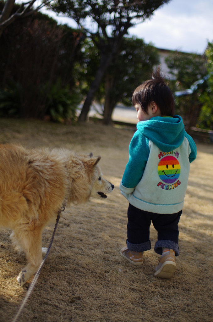 犬と甥