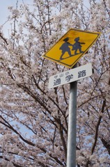 入学シーズン