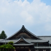 夏全開