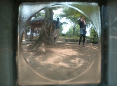 男と女 - fish eye -