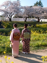 花と華