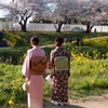 花と華