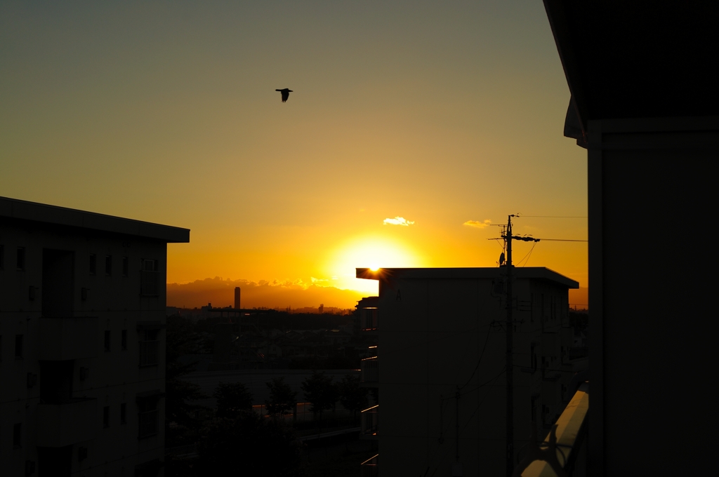 緑ヶ丘の夕日