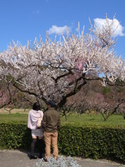 若い２人