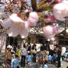入園式