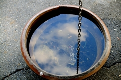 雨の後