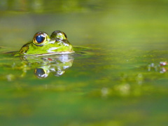 気持ちいいなぁ～